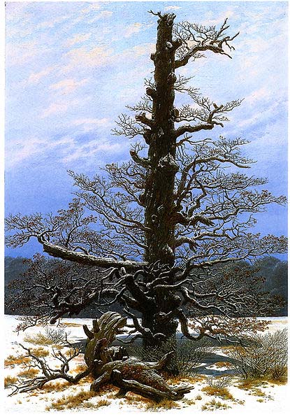 Caspar David Friedrich Oak Tree in the Snow